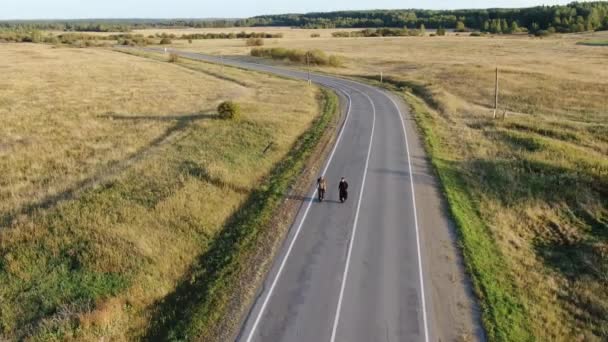 Deux hommes montent des monocycles électriques à un rythme tranquille sur la route. — Video