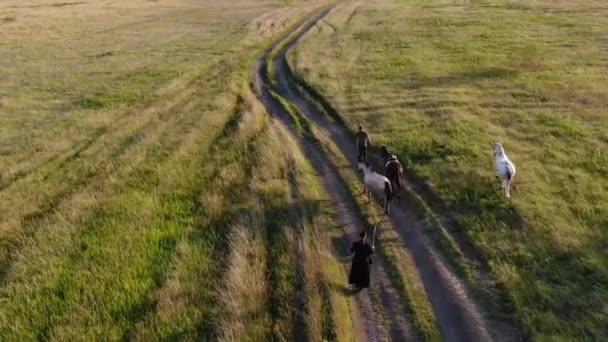 Zwei Männer führen Pferde auf Monorädern über das Feld — Stockvideo