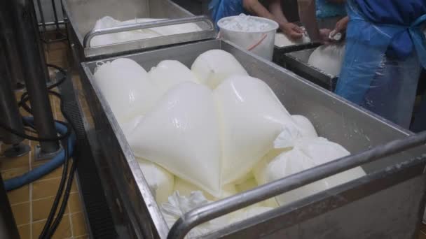 Un contenitore con pacchetti con fiocchi di latte preconfezionati. — Video Stock