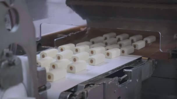 O processo de derramamento de chocolate em produtos — Vídeo de Stock