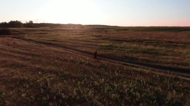 Akşamları bir adam tek tekerlekle tarladan geçiyor. — Stok video