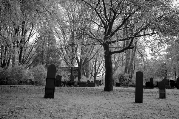 Hoogeveen Países Bajos Noviembre 2020 Foto Infrarroja Del Cementerio Hoogeveen —  Fotos de Stock