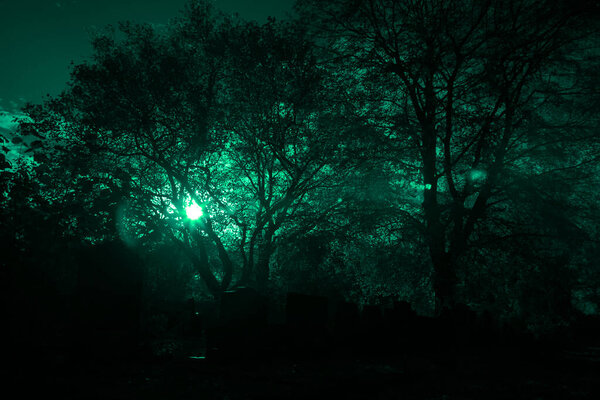 Хогевин, Нидерланды - 1 ноября 2020 года: Инфракрасное фото кладбища в Хогевине, Нидерланды