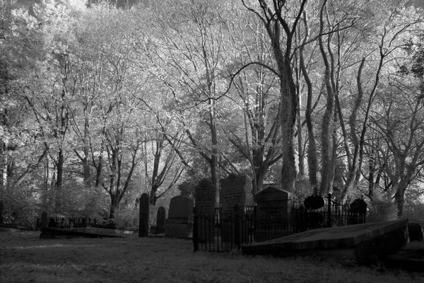 Hoogeveen Hollanda Kasım 2020 Hoogeveen Hollanda Daki Mezarlığın Kızılötesi Fotoğrafı — Stok fotoğraf