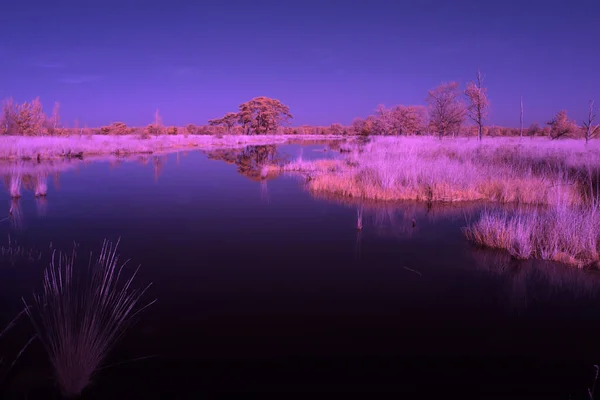 Hollanda Dwingelderveld Deki Turba Havuzunun Kızılötesi Fotoğrafı — Stok fotoğraf