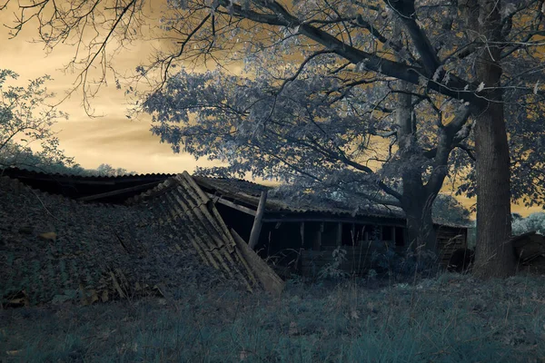 Eursinge, the Netherlands- November 7, 2020: Infrared photo of shed, the Netherland