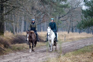 Dwingelderveld, Hollanda - 6 Aralık 2020: kumlu bir yolda at binicileri, Hollanda