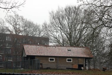 Hoogeveen, Hollanda - 17 Ocak 2021: Hoogeveen, Hollanda 'daki geyik parkı