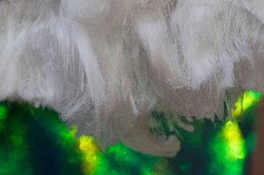 Dwingelderveld 'de buz saçı, Hollanda