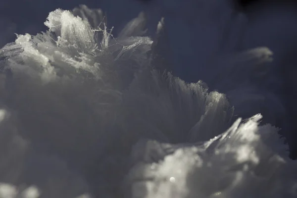 Capelli Ghiaccio Nel Dwingelderveld Paesi Bassi — Foto Stock