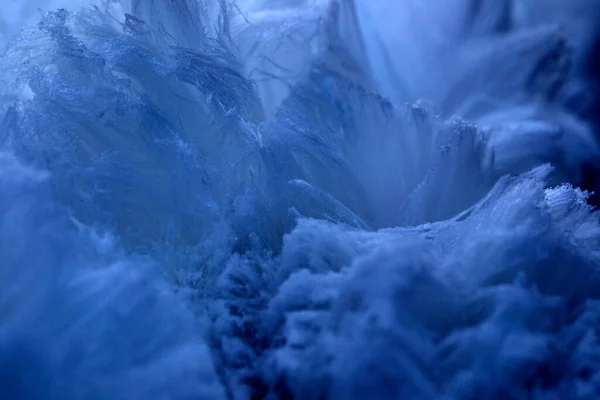 Dwingelderveld Buz Saçı Hollanda — Stok fotoğraf