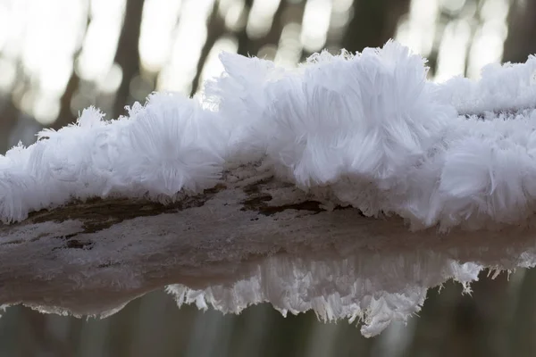 オランダのドインゲルフェルトにある氷の髪 — ストック写真