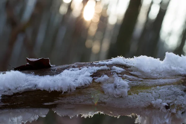 Ice Hair Dwingelderveld Netherland — Stock Photo, Image