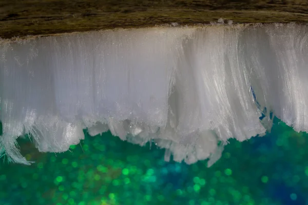 Dwingelderveld Buz Saçı Hollanda — Stok fotoğraf