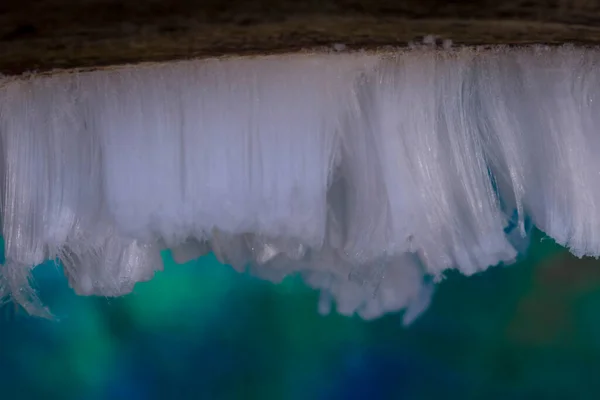 Льодовикове Волосся Двінгелдервельді Нідерланди — стокове фото
