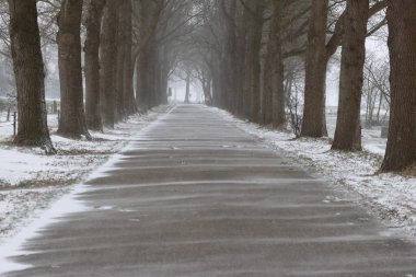 Eursinge, Hollanda - 7 Şubat 2021 Eursinge, Hollanda 'da meşe ve karlı yol