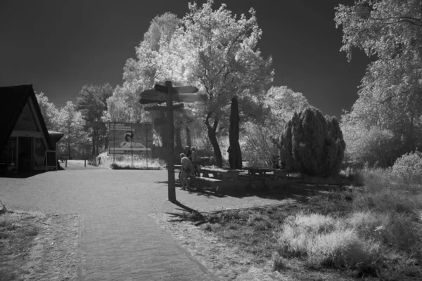 Dwingelderveld Netherlands June 2021 Infrared Photo Visitor Center Kloosterveld Dwingelderveld — Stock Photo, Image