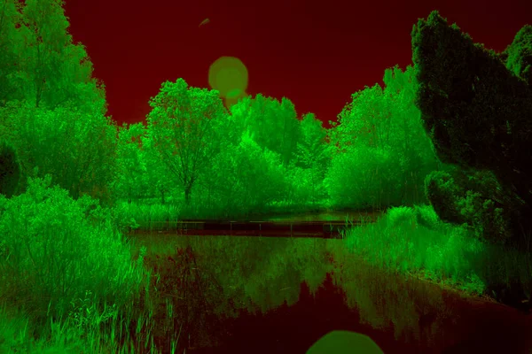 Dwingelderveld Netherlands June 2021 Infrared Photo Pond Kloosterveld Dwingelderveld Netherland — Stock Photo, Image