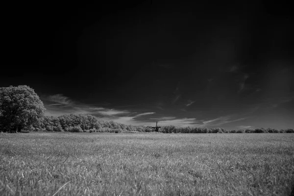 Dwingelderveld, Hollanda - 2 Haziran 2021: Hollanda, Dwingelderveld, Kloosterveld 'de yel değirmenli kızılötesi manzara fotoğrafı