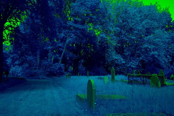 Hoogeveen Netherlands June 2021 Infrared Photo Old Graveyard Hoogeveen Netherlands — 스톡 사진