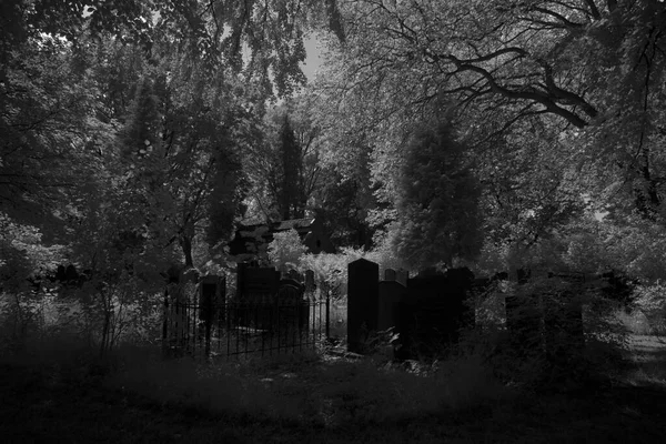 Hoogeveen Netherlands June 2021 Infrared Photo Old Graveyard Hoogeveen Netherland — Stockfoto