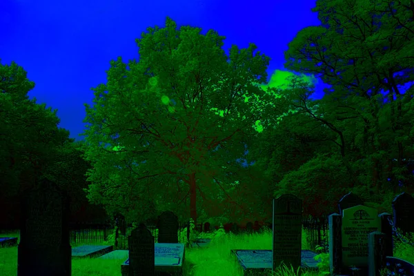 Hoogeveen Netherlands June 2021 Infrared Photo Old Graveyard Hoogeveen Netherlands — Stok fotoğraf