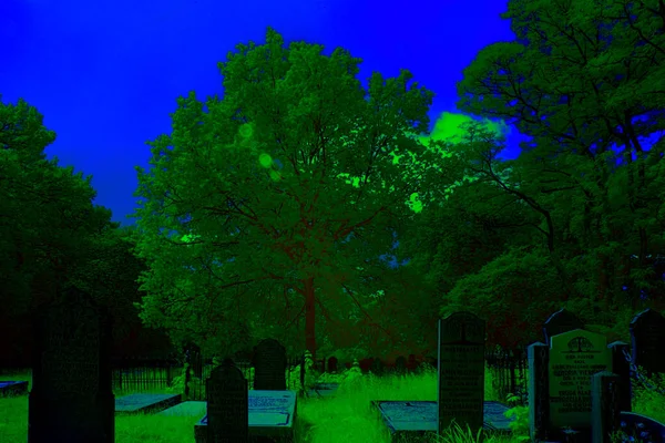 Hoogeveen Netherlands June 2021 Infrared Photo Old Graveyard Hoogeveen Netherlands — Stock Photo, Image