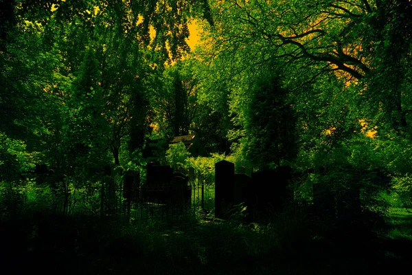 Hoogeveen Netherlands June 2021 Infrared Photo Old Graveyard Hoogeveen Netherland — Stockfoto