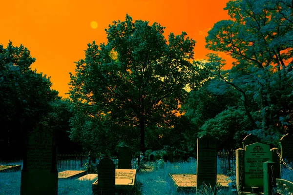 Hoogeveen Netherlands June 2021 Infrared Photo Old Graveyard Hoogeveen Netherland — Foto Stock