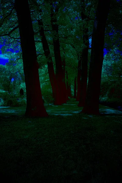 Hoogeveen Netherlands June 2021 Infrared Photo Old Graveyard Hoogeveen Netherland — Stockfoto