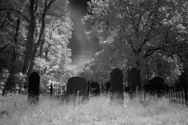 Infrared Photo Old Cemetery Hoogeveen Netherland — Stock Photo, Image
