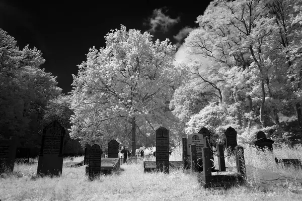 Foto Infrarroja Del Antiguo Cementerio Hoogeveen Países Bajos — Foto de Stock