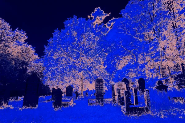 Hoogeveen Hollanda Daki Eski Mezarlığın Kızılötesi Fotoğrafı — Stok fotoğraf