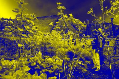 Arnhem, Hollanda - 1 Ağustos 2021: soyut renk çekimi