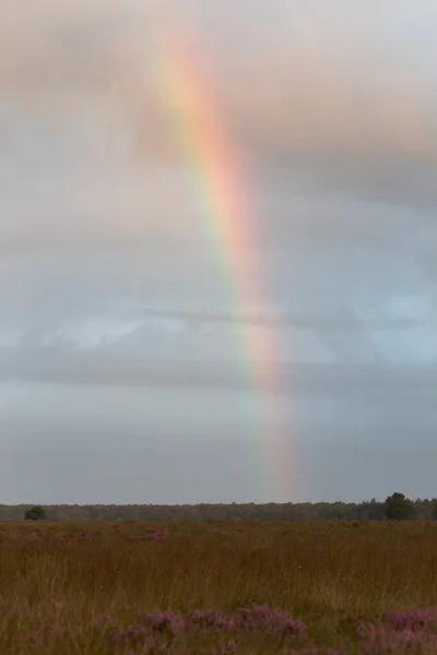 Curcubeu Peste Dwingelderveld Olanda — Fotografie, imagine de stoc