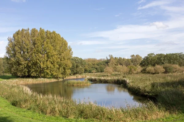 Parque natural da paisagem em Lelystad, Países Bajos — Fotografia de Stock