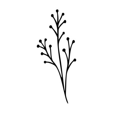 Yaban çiçeğinin ana hatları el çizimi elementtir. Bitkiler botanik ikonu çizer. Bitki ve çayır bitkisi, ot. Logo, düğün ve parmak izi için Rustik çiçek elementi. Vektör illüstrasyonu beyaz arkaplanda izole edildi.