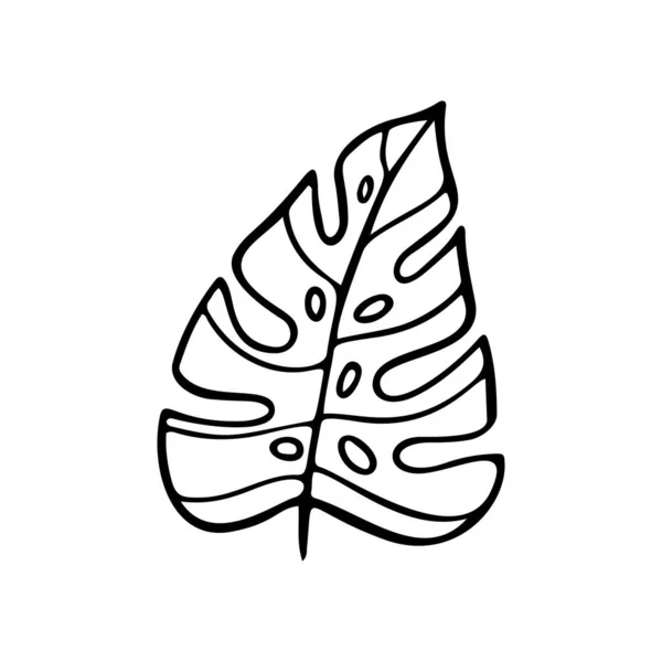 Folha Palmeira Tropical Vector Doodle Folhas Planta Tropical Monstera Isolado — Vetor de Stock