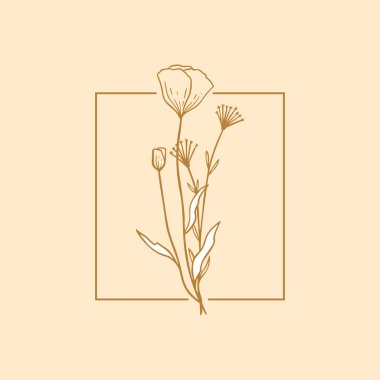 Paket için çiçek haşhaş etiketi. Yaban çiçeği logosu çizimi. Düğün için çiçek çerçevesi amblemi, fotoğrafçı markası, tasarım. Taslak klasik el yapımı otlar. Modern basit tarz. Vektör çizimi izole edildi