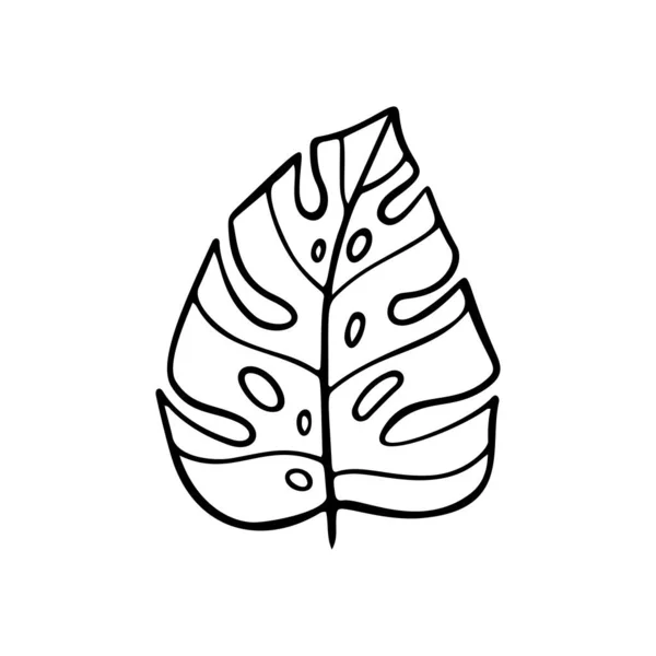 야자나무 식물인 테라의 반사기 잎들은 바탕에 분리되어 포스터 직물을 디자인 — 스톡 벡터