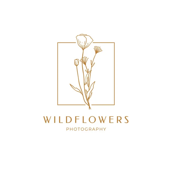 Etichetta Floreale Papavero Confezione Schizzo Del Logo Lineare Wildflower Emblema — Vettoriale Stock