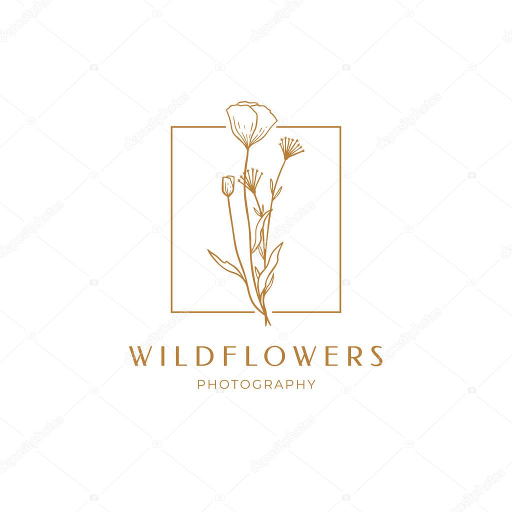 Floral poppy label for package. Wildflower linear logo sketch. Floral frame emblem for wedding, photographer brand, design. Outline vintage hand drawn herbs. Vector illustration isolated on background