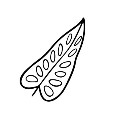 Croton yaprağı stilize edilmiş vektör çizimi. Dekoratif Croton tropikal yapraklarının karalama çizimi. Beyaz arkaplanda yalıtılmış palmiye yaprakları.