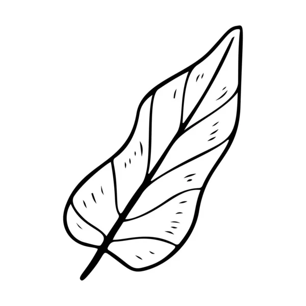 Philodendron Leaf 스타일 일러스트 장식적 우림의 수수께끼 야자수 배경에서 분리되어 — 스톡 벡터