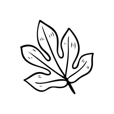 Aralia 'nın silueti gidiyor. Tropik bitki karalama elementi. Ana hatlarıyla Aralia Hawai yaprağı. El yapımı palmiye ve yaprak ikonu. Beyaz arkaplanda vektör çizimi izole edildi. Egzotik çiçek çizimi