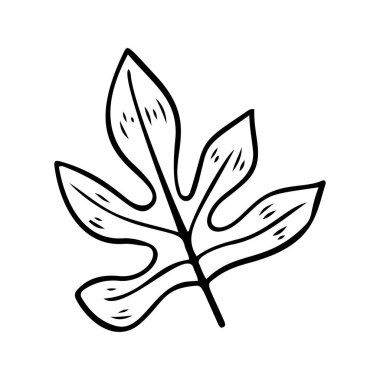 Aralia 'nın silueti gidiyor. Tropik bitki karalama elementi. Ana hatlarıyla Aralia Hawai yaprağı. El yapımı palmiye ve yaprak ikonu. Beyaz arkaplanda vektör çizimi izole edildi. Egzotik çiçek çizimi