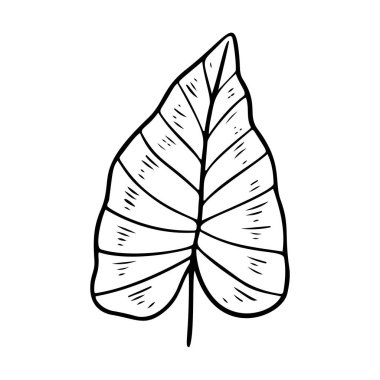 Philodendron yaprağı stilize edilmiş vektör çizimi. Dekoratif tropikal yaprakların karalama çizimi. Beyaz arkaplanda izole edilmiş palmiye ağacı fildişi yaprakları.