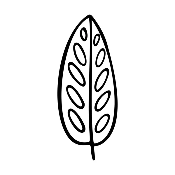 クロトンリーフ型ベクトルイラスト 装飾的なクロトン熱帯の葉の落書きイラスト 白地に孤立したヤシの木の葉 — ストックベクタ