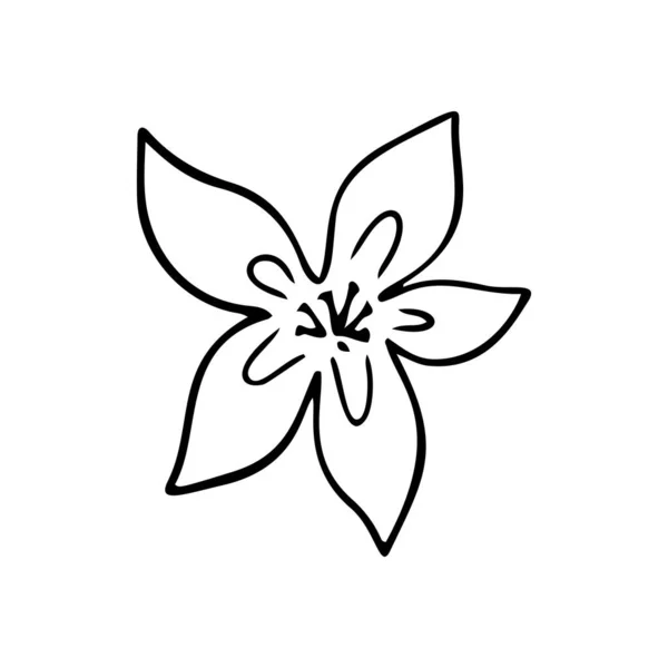 Plumeria Bloem Omtrek Frangipani Lijn Kunst Vector Illustratie Geïsoleerd Witte — Stockvector