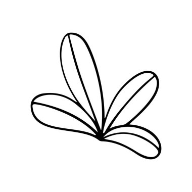 Tropik ot, yaprak stilize vektör çizimi. Dekoratif tropikal yaprakların karalama çizimi. Palmiye ağacı yağmur ormanlarının yaprakları beyaz arka planda izole edilmiştir.